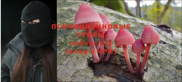 стафф Алексеевка
