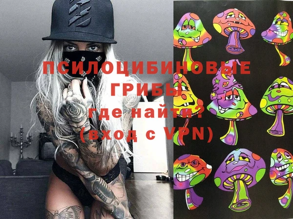 героин Алексин