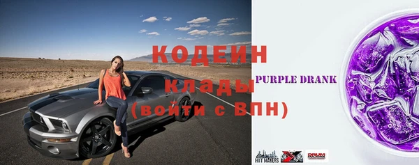 индика Алзамай