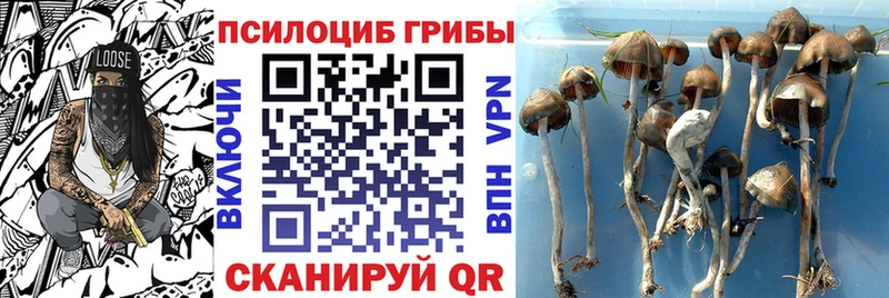 Псилоцибиновые грибы ЛСД  наркота  Лебедянь 